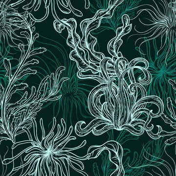 Collection of marine plants, leaves and seaweed. Vintage seamless pattern with hand drawn marine flora. Vector illustration in line art style.Design for summer beach, decorations.