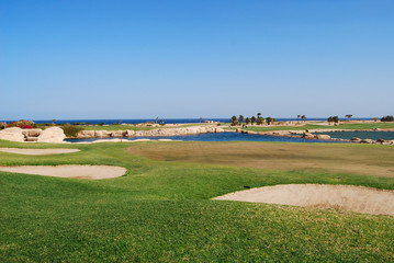 Golf field landscape