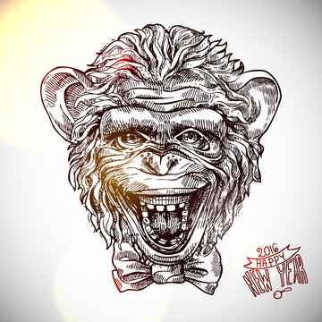 sketch portret of monkey