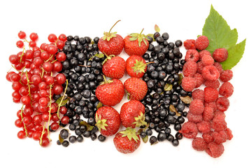 Redcurrant, blueberry, strawberry and raspberry