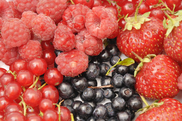 Various berries: strawberry, raspberry, currant, redcurrant
