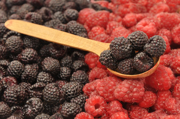 Blackberry, raspberry and spoonful of blackberries