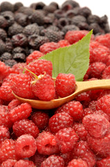 Raspberry and blackberry