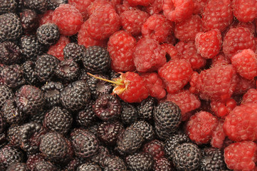 Blackberry and raspberry