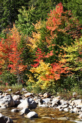 Fall in New Hampshire