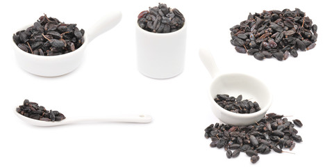 Barberry or berberis