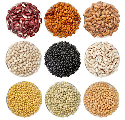 Collection of beans 