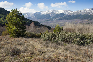 Sierra de la Morcuera. Madrid