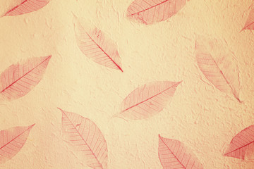 Paper Texture Background from mulberry paper