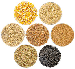 Cereals collection, grain crops