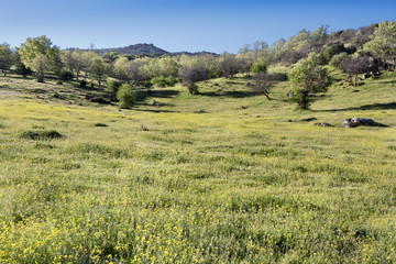 Las Dehesas en Higuera de las Dueñas. Avila