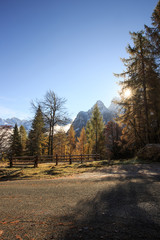 Fototapeta na wymiar Mountain pasture with morning frost and desolate road