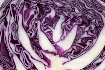 Obraz premium cross section of purple cabbage