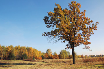 Jesienny krajobraz