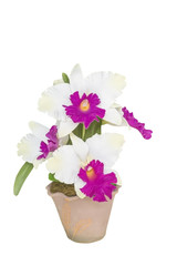 Artificial Cattleya Orchid Flowers