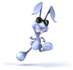 Fun rabbit