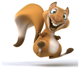 Fun squirrel © Julien Tromeur