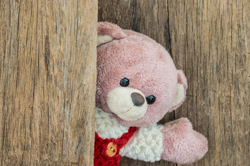 Obraz premium Cute teddy bear say 