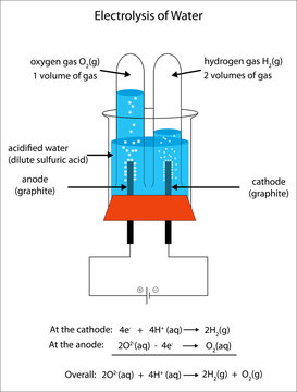 Fully labeled diagram of the electrolysis of water to form hydrogen and oxygen