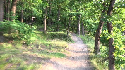 running in the forest - escape - steadicam