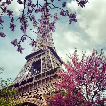 Colorful flowers around Tour Eiffel in the spring