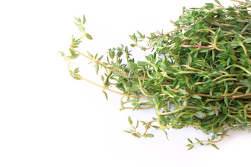 thyme isolated on white background chabrets
