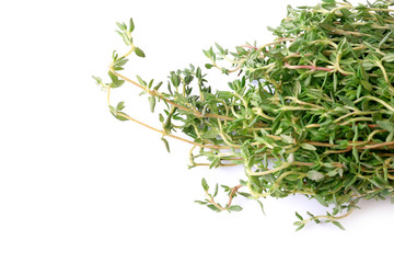 thyme isolated on white background chabrets