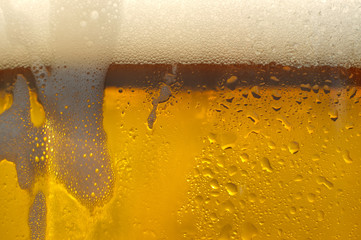 Droplets on freshly poured beer.