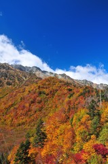 秋の立山黒部アルペンルート

