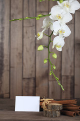 Orchid  and paper on wood background