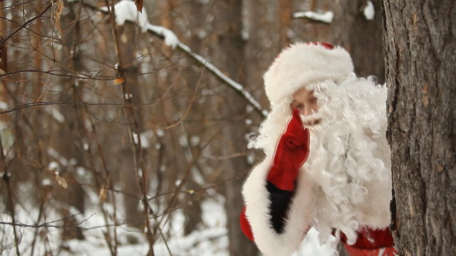 Santa Claus in the fairy forest for the new year