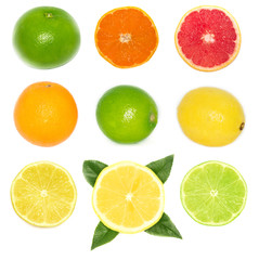 collection of citrous