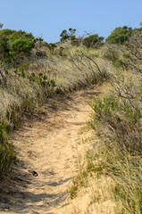Robberg, Robberg Peninsula, Robberg Nature Reserve -  Sudafrica 