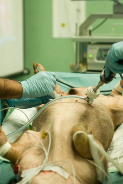 Cirujano colocando la aguja del suero en una operaci&oacute;n