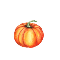 Watercolor pumpkin