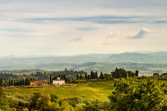 Fields in Tuscany