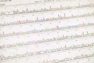 DNA sequencing result