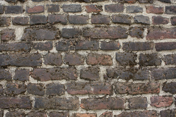 Grunge textures backgrounds. Old cracked wall background