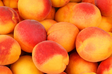 Ripe apricot close up, DOF, as background