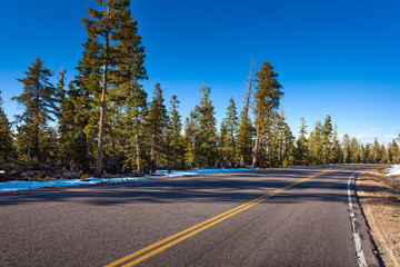 Naklejka premium Road in Bruce canyon national park at winter 