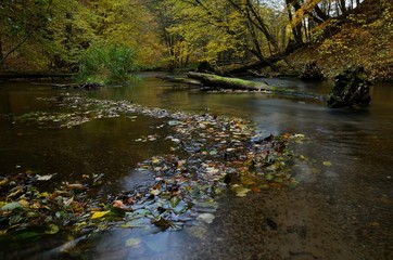 jar rzeki Raduni jesienią
