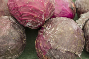 Red Cabbage