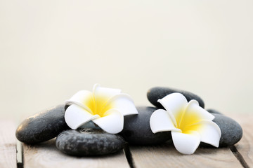 Composition of pebbles and fragipani flower on wooden background