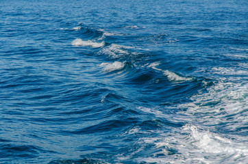 Obraz premium dramatic waves on the water surface of the sea