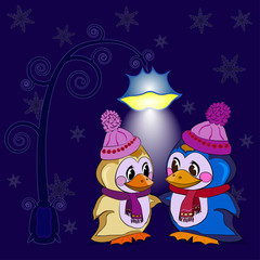 Penguins winter evening