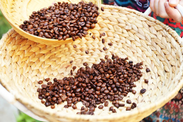 Woman spills coffee beans from one basket to the other one