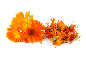 Calendula officinalis flower, marigold, dried