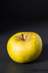 Large yellow apple (russet apple) on black background