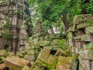 Fototapeta premium Ta Prohm Temple, Angkor Wat, Cambodia