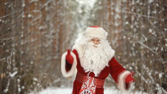 Santa Claus congratulates forest happy new year